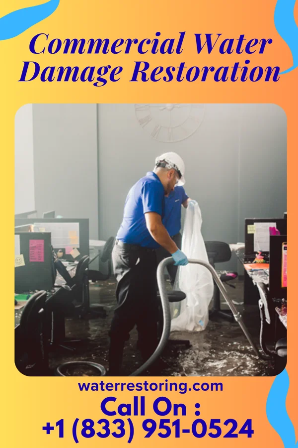 Commercial Water Damage Restoration in Mamanasco Lake, CT