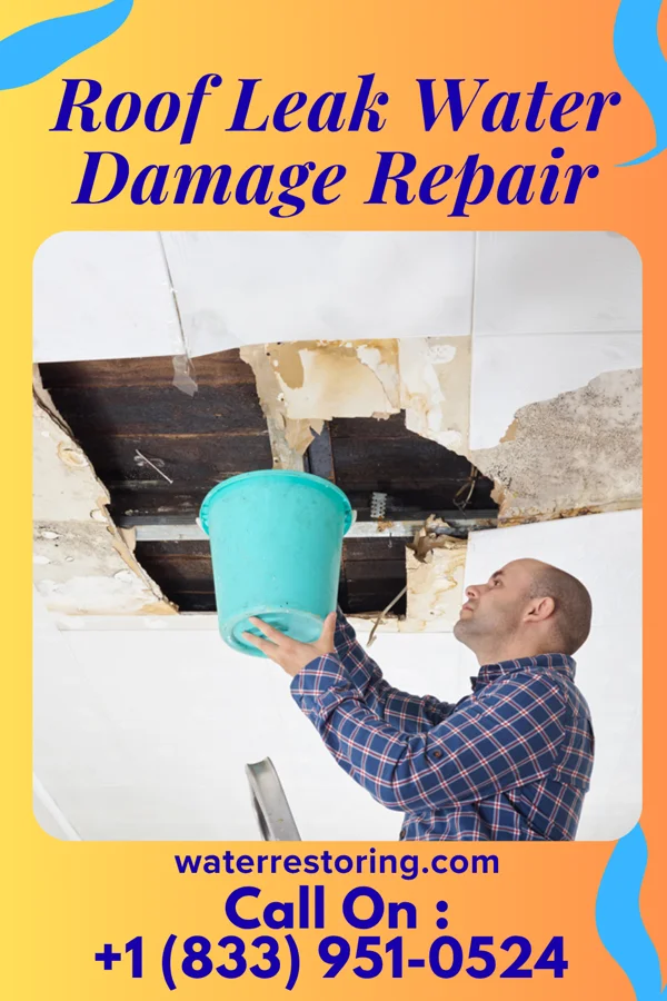 Roof Leak Water Damage Repair in Mamanasco Lake, CT