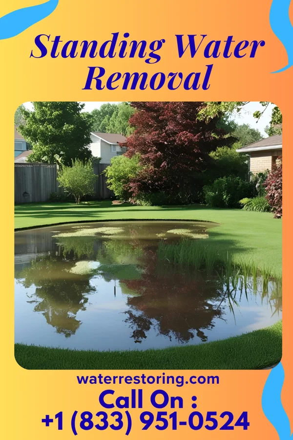 Standing Water Removal in Mamanasco Lake, CT
